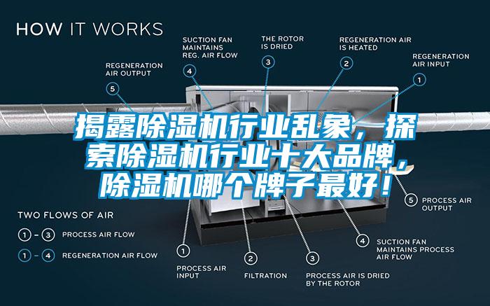揭露除濕機行業(yè)亂象，探索除濕機行業(yè)十大品牌，除濕機哪個牌子最好！