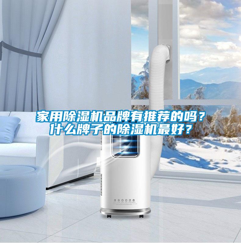 家用除濕機(jī)品牌有推薦的嗎？什么牌子的除濕機(jī)最好？