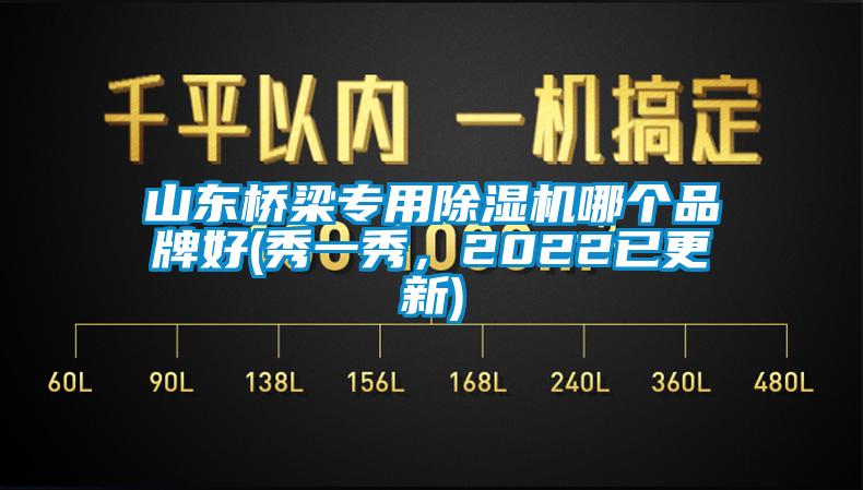 山東橋梁專(zhuān)用除濕機(jī)哪個(gè)品牌好(秀一秀，2022已更新)