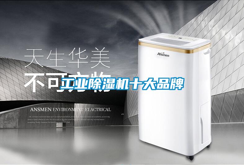 工業(yè)除濕機十大品牌