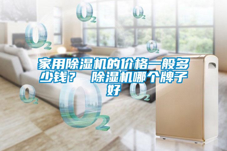 家用除濕機的價格一般多少錢？ 除濕機哪個牌子好