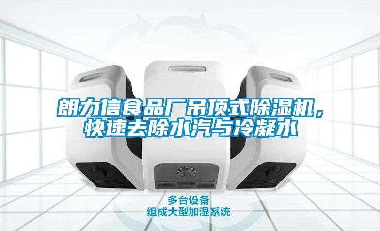 朗力信食品廠吊頂式除濕機(jī)，快速去除水汽與冷凝水