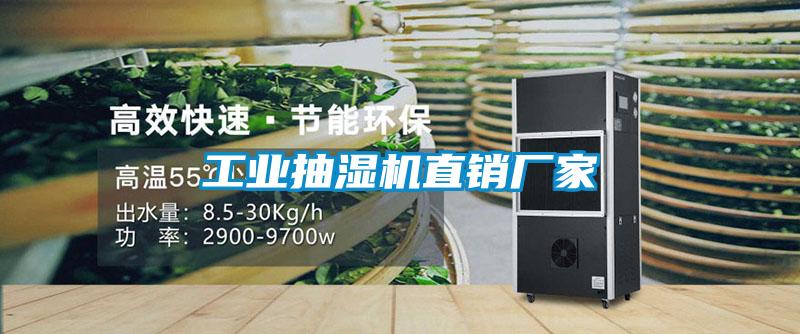 工業(yè)抽濕機直銷廠家