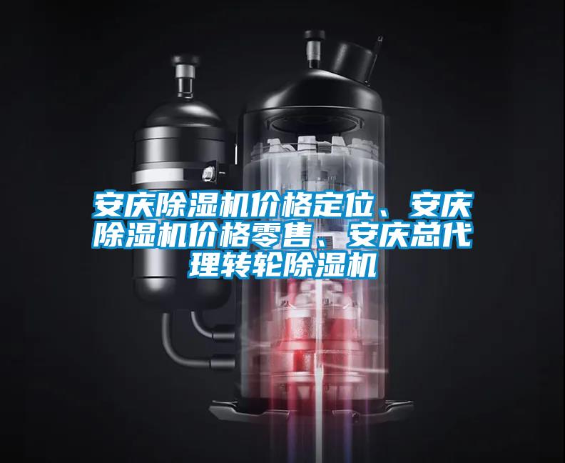 安慶除濕機(jī)價(jià)格定位、安慶除濕機(jī)價(jià)格零售、安慶總代理轉(zhuǎn)輪除濕機(jī)