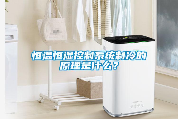 恒溫恒濕控制系統(tǒng)制冷的原理是什么？