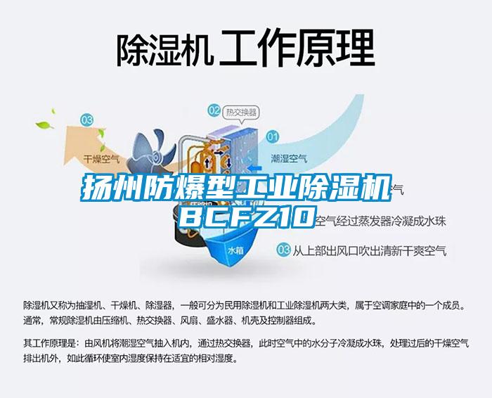揚(yáng)州防爆型工業(yè)除濕機(jī) BCFZ10
