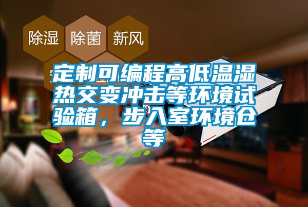 定制可編程高低溫濕熱交變沖擊等環(huán)境試驗(yàn)箱，步入室環(huán)境倉等