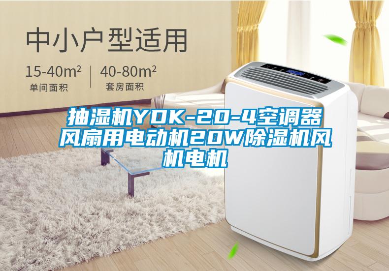 抽濕機(jī)YDK-20-4空調(diào)器風(fēng)扇用電動機(jī)20W除濕機(jī)風(fēng)機(jī)電機(jī)