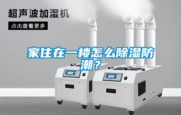 家住在一樓怎么除濕防潮？