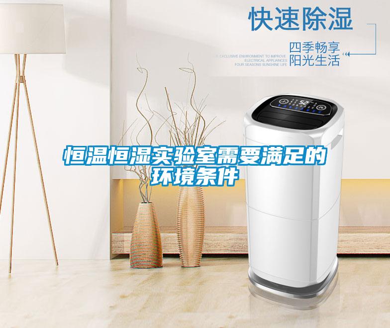 恒溫恒濕實驗室需要滿足的環(huán)境條件