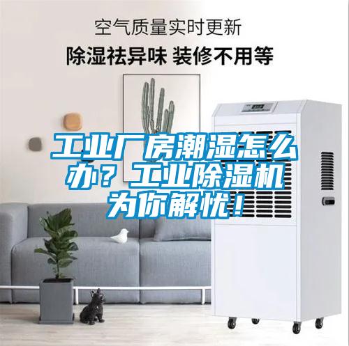 工業(yè)廠房潮濕怎么辦？工業(yè)除濕機(jī)為你解憂！
