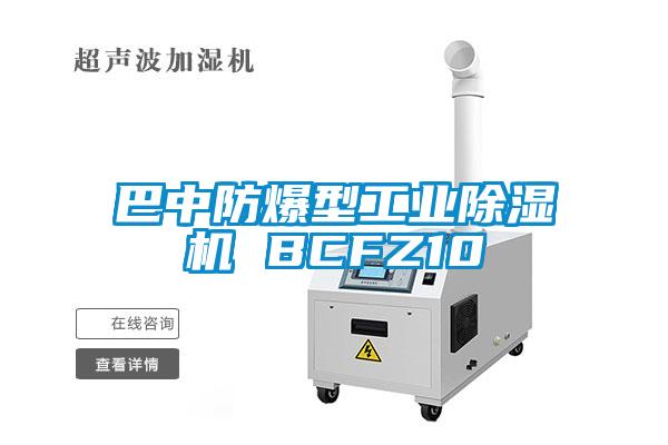 巴中防爆型工業(yè)除濕機 BCFZ10