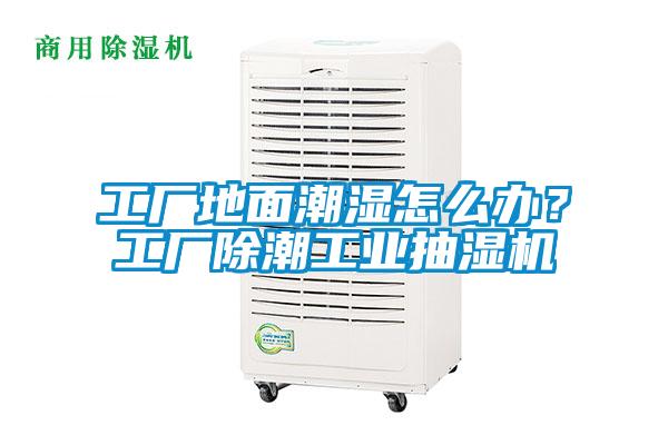 工廠地面潮濕怎么辦？工廠除潮工業(yè)抽濕機
