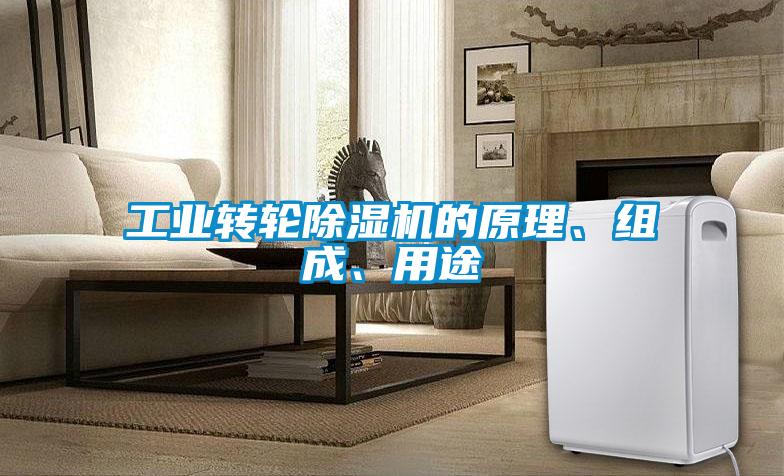 工業(yè)轉(zhuǎn)輪除濕機(jī)的原理、組成、用途