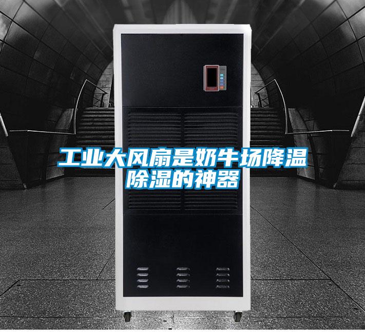 工業(yè)大風(fēng)扇是奶牛場降溫除濕的神器