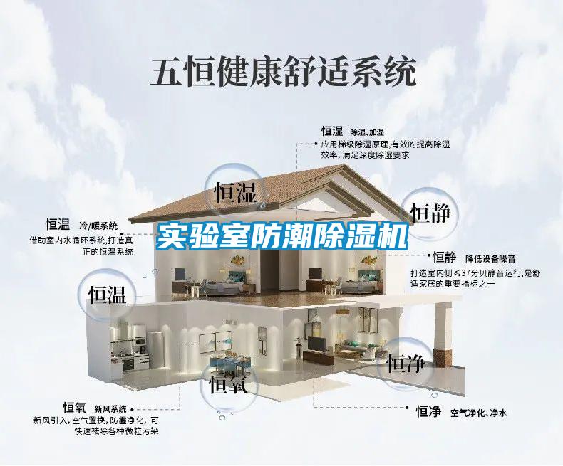 實驗室防潮除濕機(jī)