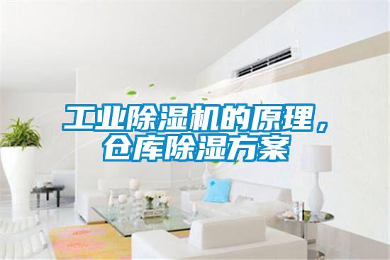 工業(yè)除濕機的原理，倉庫除濕方案