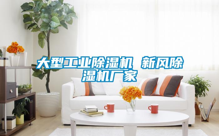 大型工業(yè)除濕機 新風除濕機廠家