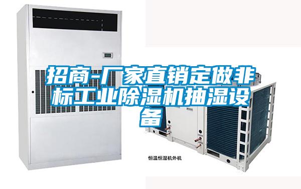 招商-廠家直銷定做非標工業(yè)除濕機抽濕設備