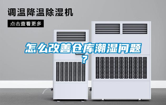 怎么改善倉庫潮濕問題？
