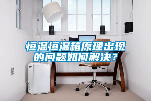 恒溫恒濕箱原理出現(xiàn)的問題如何解決？