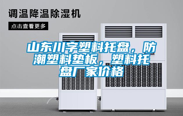 山東川字塑料托盤，防潮塑料墊板，塑料托盤廠家價(jià)格