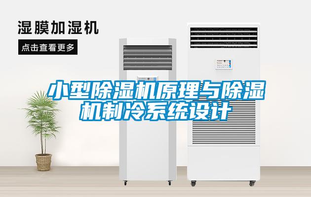 小型除濕機(jī)原理與除濕機(jī)制冷系統(tǒng)設(shè)計