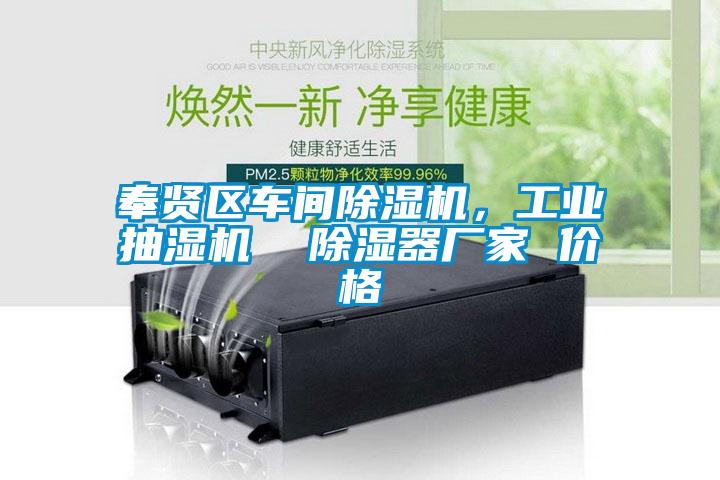 奉賢區(qū)車間除濕機(jī)，工業(yè)抽濕機(jī)  除濕器廠家 價(jià)格
