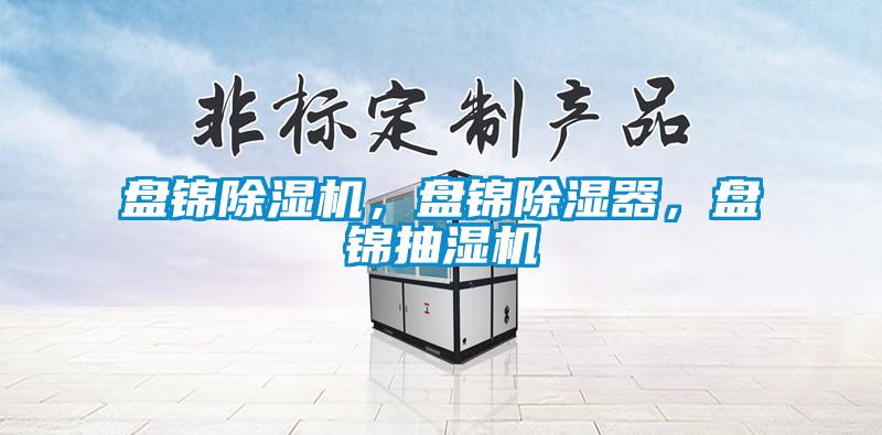 盤錦除濕機，盤錦除濕器，盤錦抽濕機