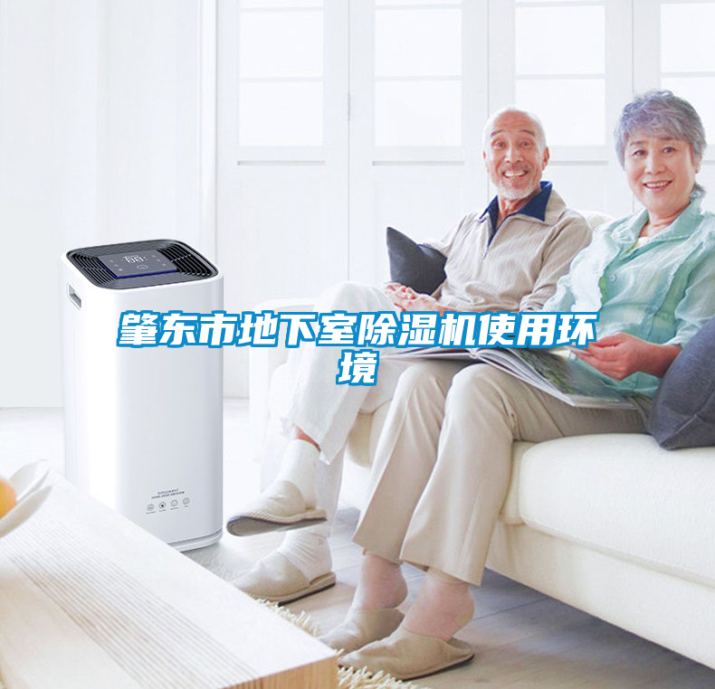 肇東市地下室除濕機使用環(huán)境