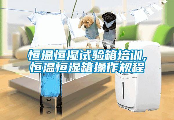 恒溫恒濕試驗箱培訓,恒溫恒濕箱操作規(guī)程