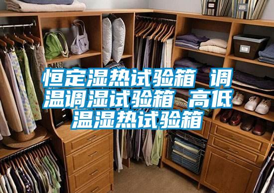 恒定濕熱試驗箱 調(diào)溫調(diào)濕試驗箱 高低溫濕熱試驗箱
