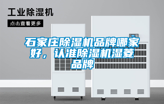 石家莊除濕機品牌哪家好，認準除濕機濕菱品牌