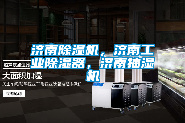 濟(jì)南除濕機(jī)，濟(jì)南工業(yè)除濕器，濟(jì)南抽濕機(jī)