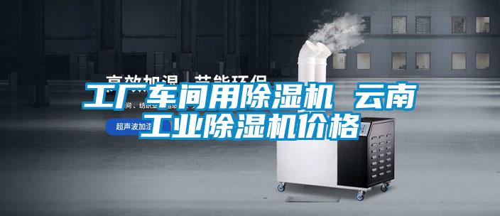 工廠車間用除濕機 云南工業(yè)除濕機價格
