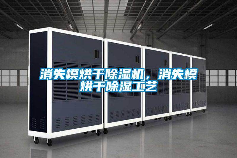 消失模烘干除濕機(jī)，消失模烘干除濕工藝