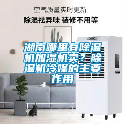 湖南哪里有除濕機(jī)加濕機(jī)賣？除濕機(jī)冷媒的主要作用