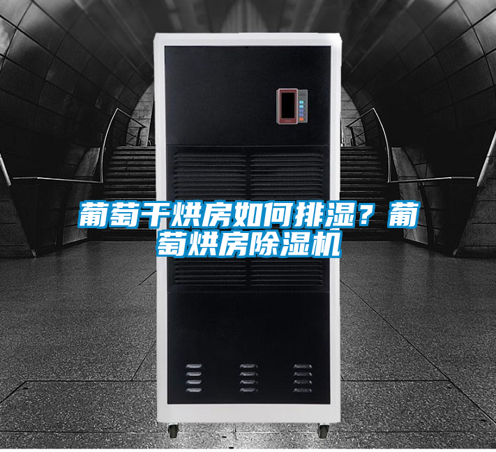 葡萄干烘房如何排濕？葡萄烘房除濕機(jī)