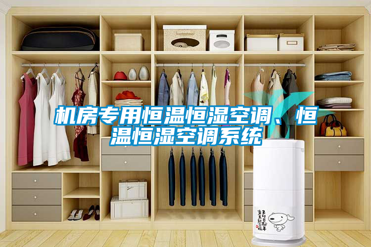 機房專用恒溫恒濕空調(diào)、恒溫恒濕空調(diào)系統(tǒng)