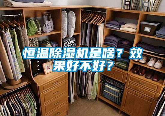 恒溫除濕機(jī)是啥？效果好不好？