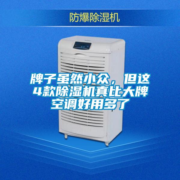 牌子雖然小眾，但這4款除濕機真比大牌空調(diào)好用多了