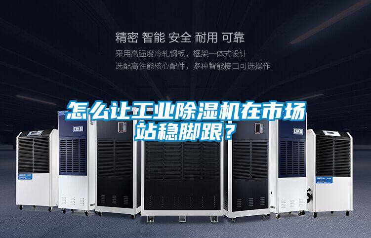怎么讓工業(yè)除濕機在市場站穩(wěn)腳跟？