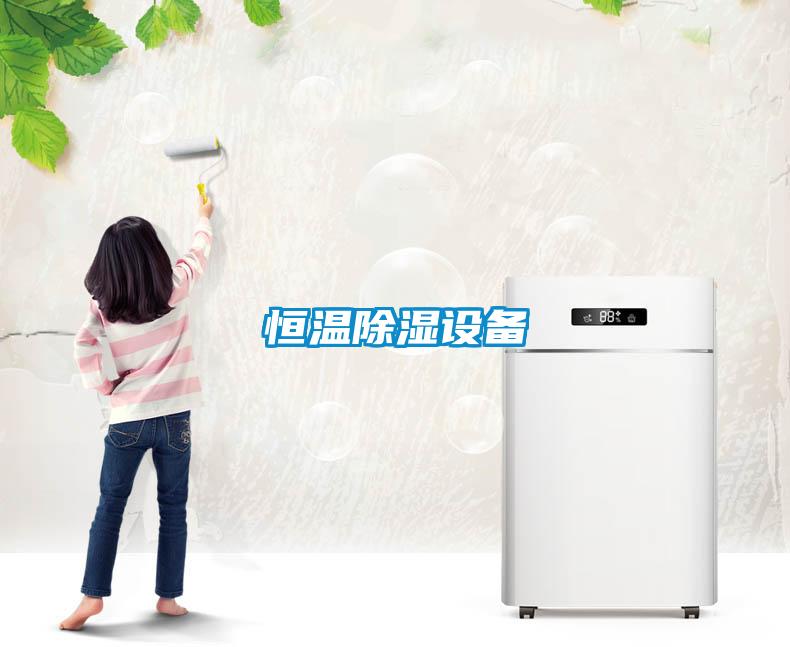 恒溫除濕設(shè)備