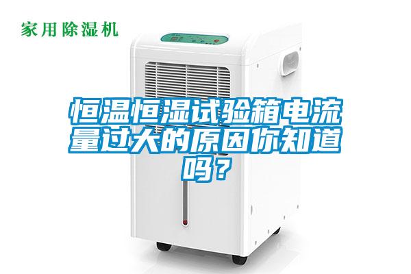 恒溫恒濕試驗(yàn)箱電流量過(guò)大的原因你知道嗎？