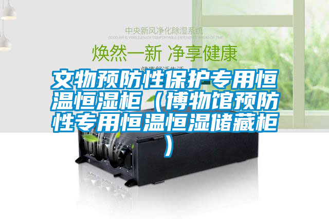 文物預(yù)防性保護(hù)專用恒溫恒濕柜（博物館預(yù)防性專用恒溫恒濕儲藏柜）