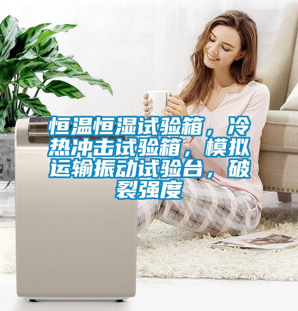恒溫恒濕試驗箱，冷熱沖擊試驗箱，模擬運輸振動試驗臺，破裂強度