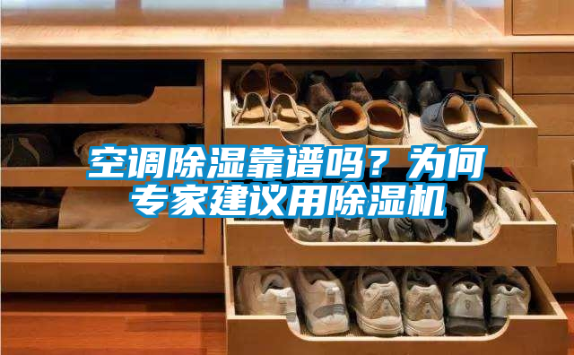 空調(diào)除濕靠譜嗎？為何專家建議用除濕機(jī)