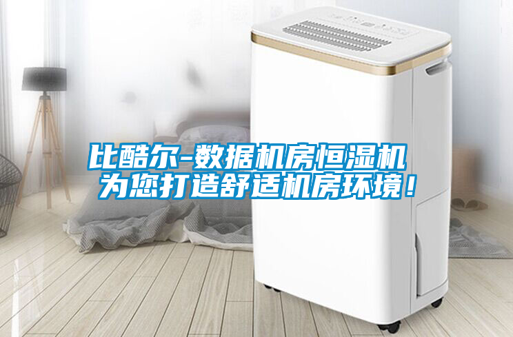 比酷爾-數(shù)據(jù)機(jī)房恒濕機(jī) 為您打造舒適機(jī)房環(huán)境！