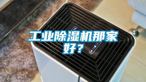 工業(yè)除濕機(jī)那家好？