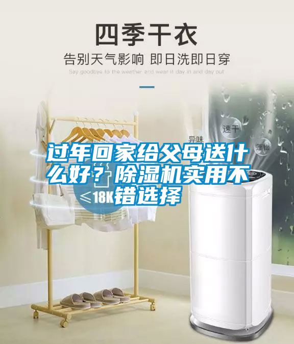 過(guò)年回家給父母送什么好？除濕機(jī)實(shí)用不錯(cuò)選擇